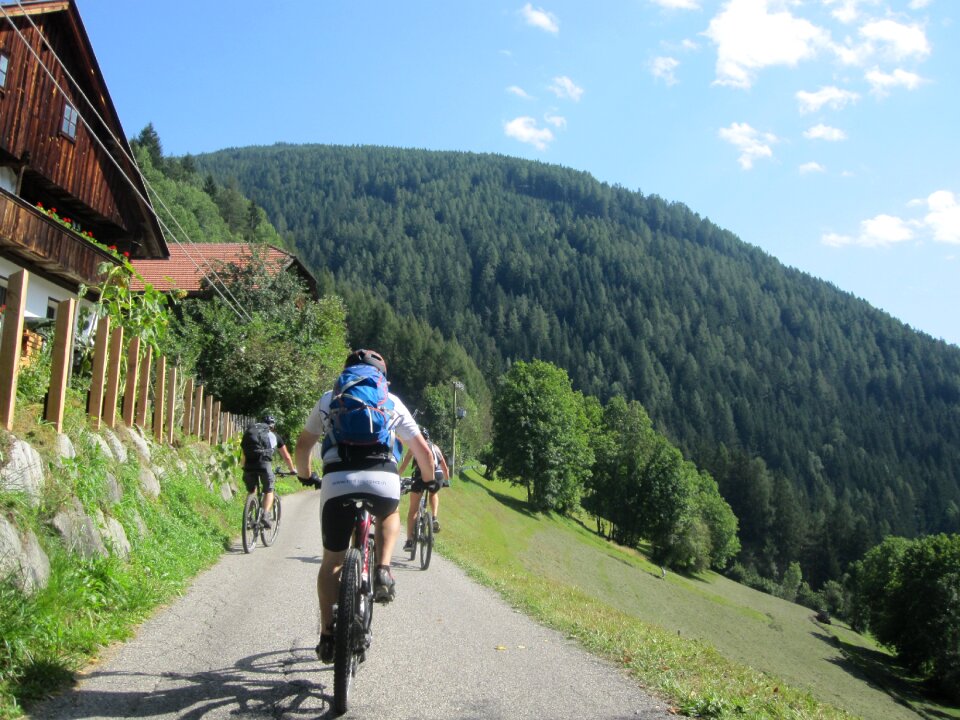 Transalp exit forest
