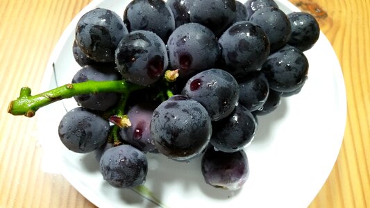 Edition fresh snack