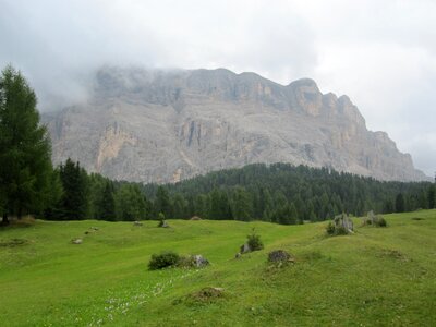 Nature forest italy