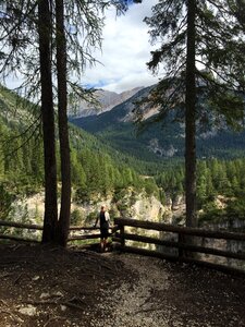 Nature forest italy