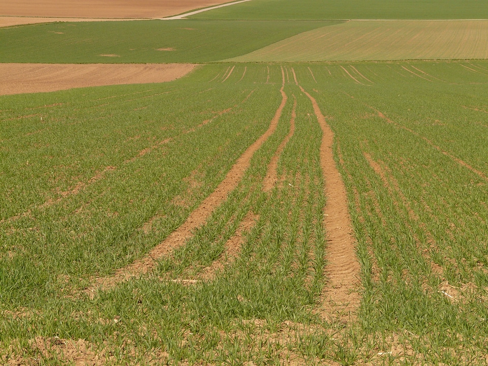 Agriculture seed away