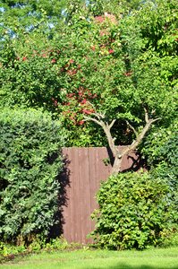 Gateway gate the entrance to the garden