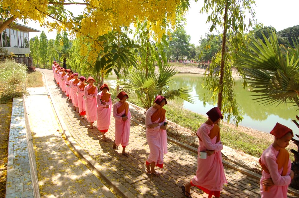 Bikkhuni schwedaggon burma