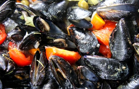 Mussels cooking