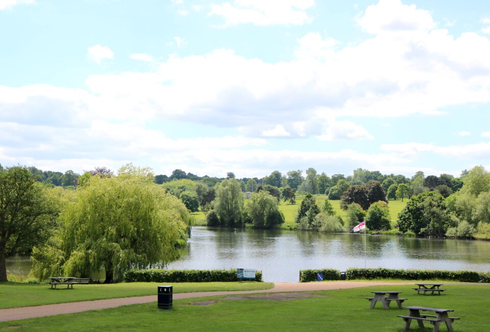 Summer nature landscape