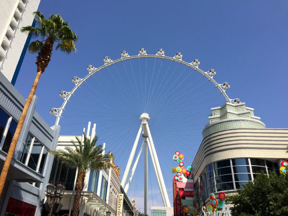 Rides ferris wheel wheel