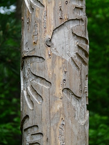 Wood wood carving reprint