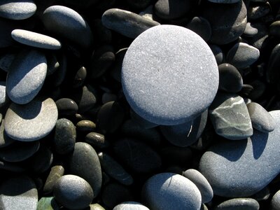 Sea new zealand