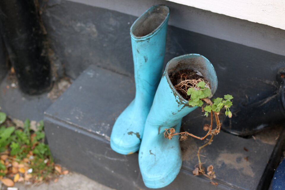 Wellington rubber footwear