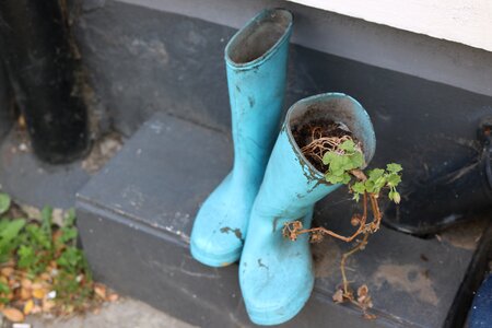 Wellington rubber footwear