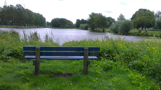 Nature wooden bench wood bench