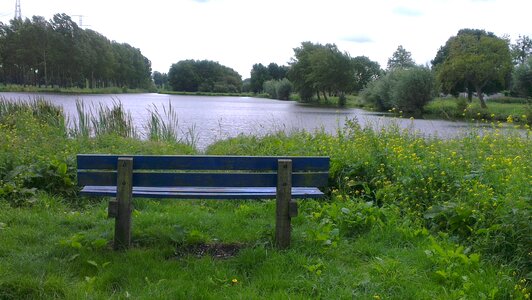 Nature wooden bench wood bench photo