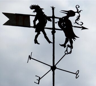 Backlight silhouette compass rose