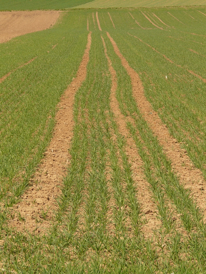 Agriculture seed away