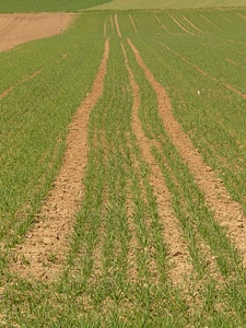Agriculture seed away