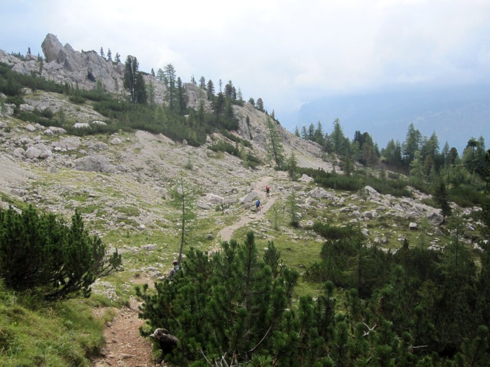 Nature forest italy