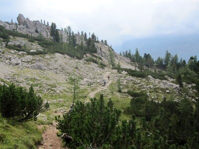 Nature forest italy photo