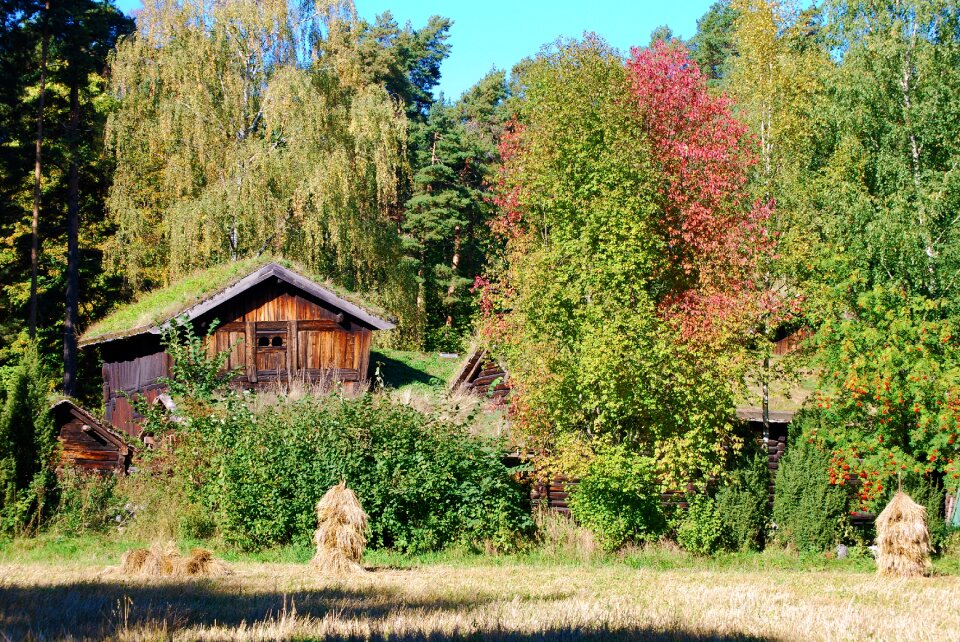 Rustic farm rural photo