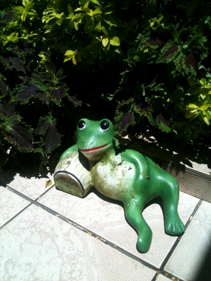 Sculpture garden laziness
