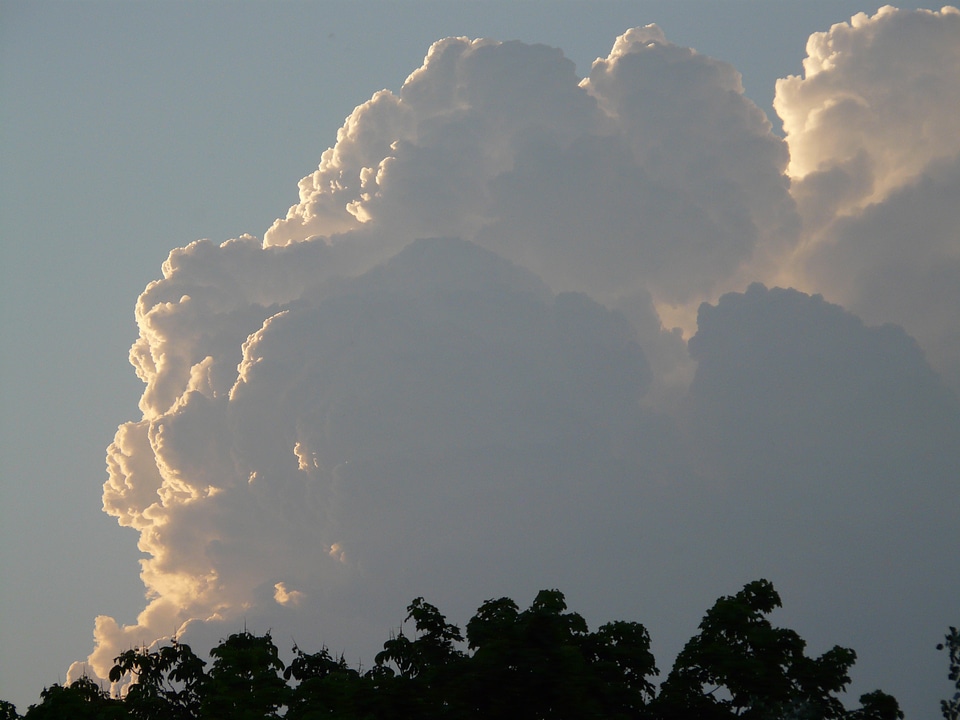 Cloud forward climatology
