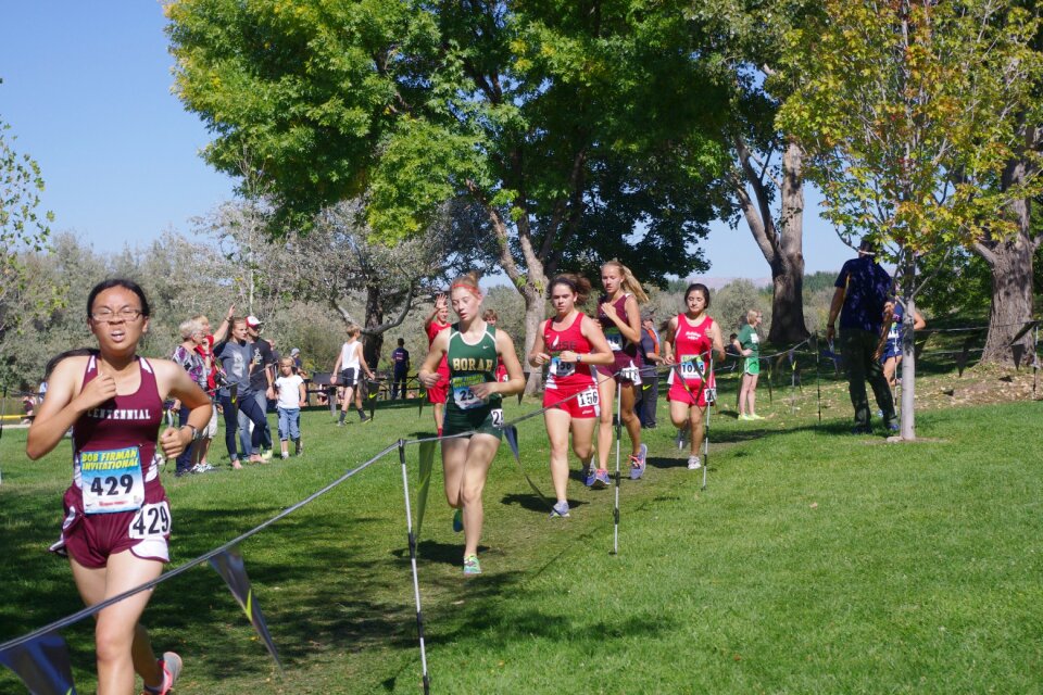 Runner course running race