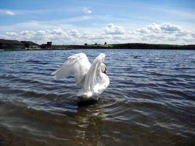 Loch lake