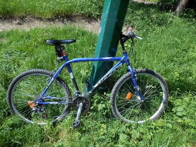 Mountain biking forest bike