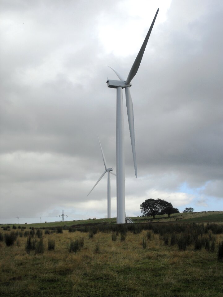 Wind turbine field