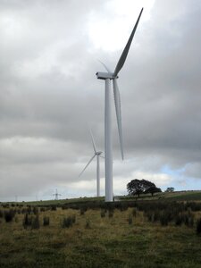 Wind turbine field photo
