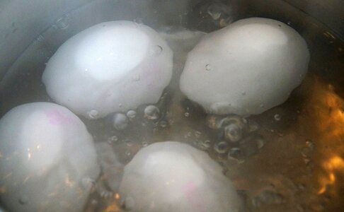 Pot white eggs boil water