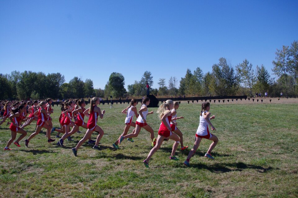 Starting line runners xc