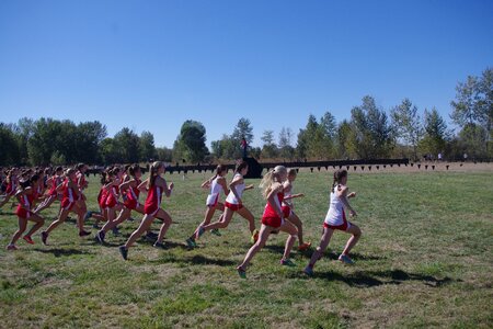 Starting line runners xc photo