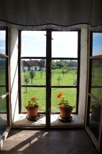 Geraniums view window pots
