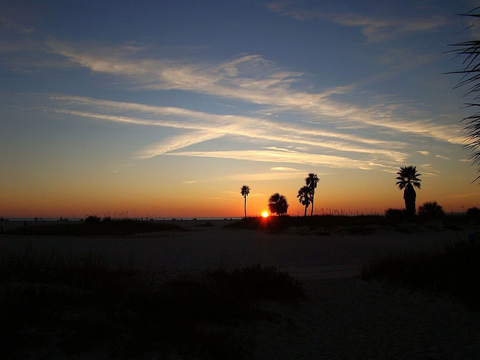 Palm light clouds
