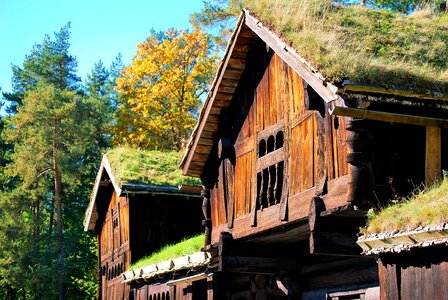 Rustic building wooden