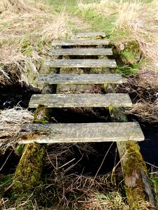 Wooden river
