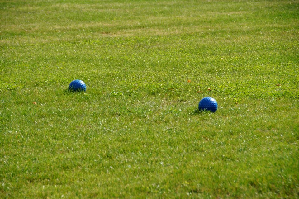 Green ball meadow