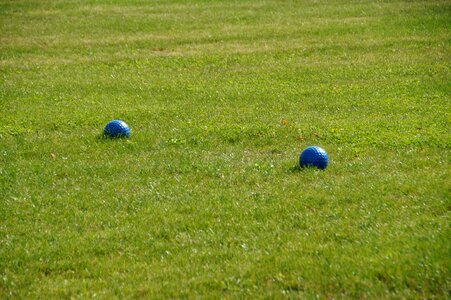 Green ball meadow photo