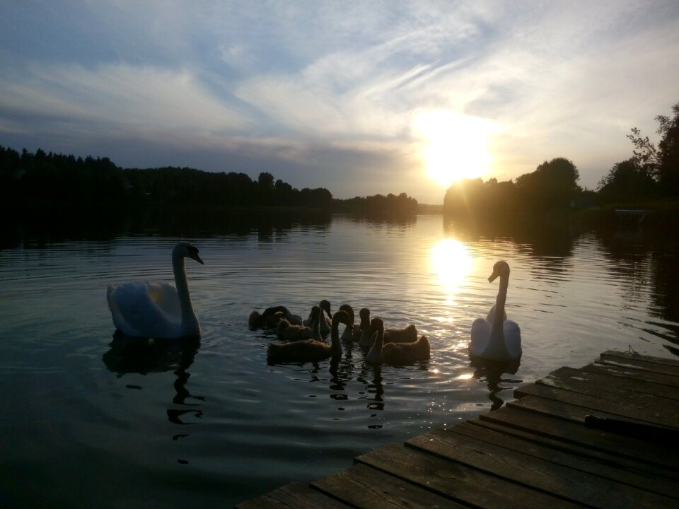 Family evening park