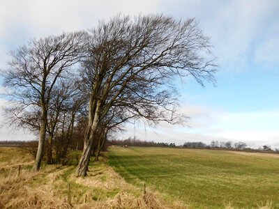 Nature field photo