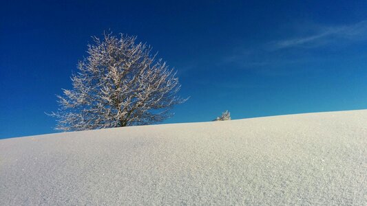 Blue white snow