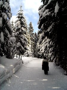 Winter hiking trail sonnenburg kleinwalsertal photo
