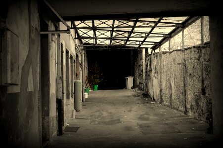 Hall fir tree bleak