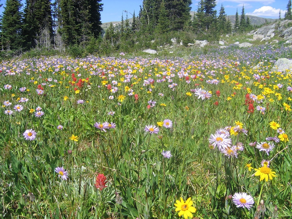 British columbia summer