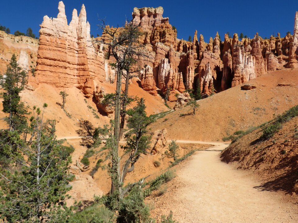 Southwest landscape desert