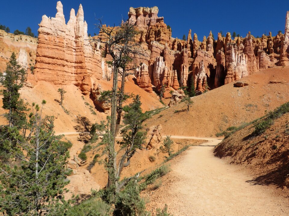 Southwest landscape desert photo