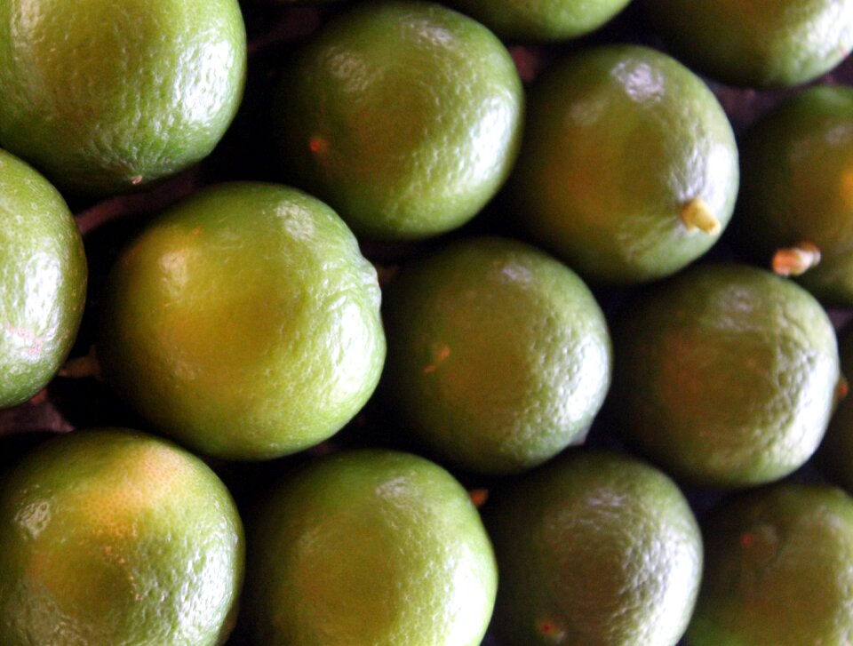 Healthy organic fresh