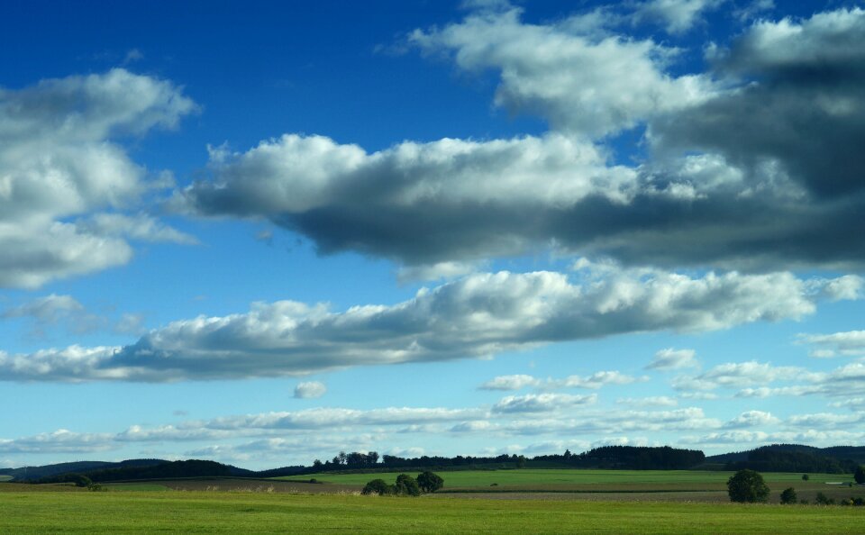 Blue sky grass texture