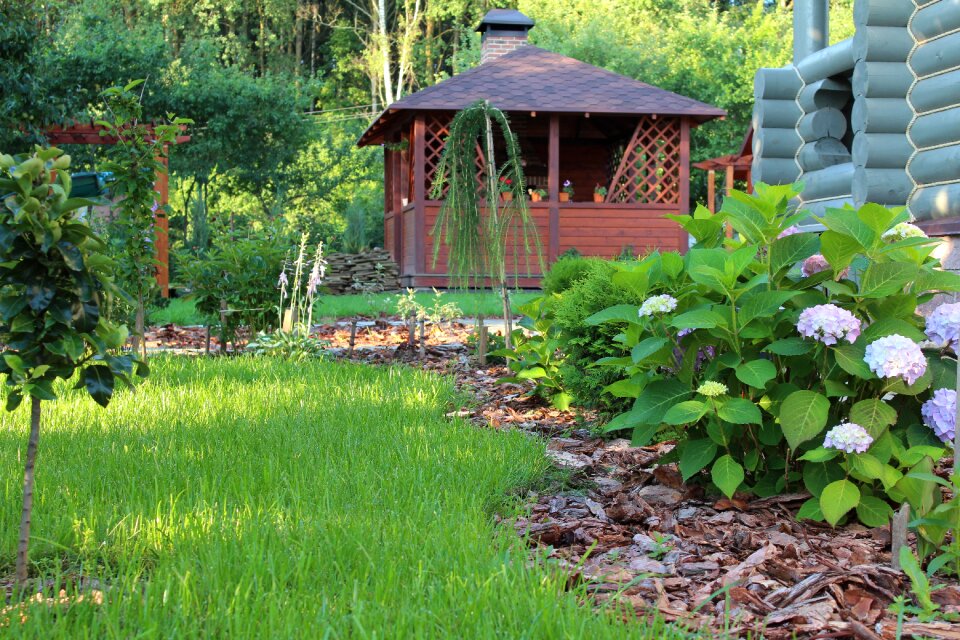 Landscape design beautification planting of greenery