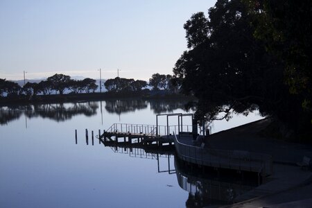 Reflection trees eveninh